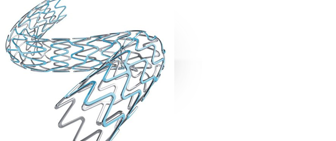 SYNERGY™ Monorail  Everolimus-Eluting Platinum Chromium Coronary Stent System