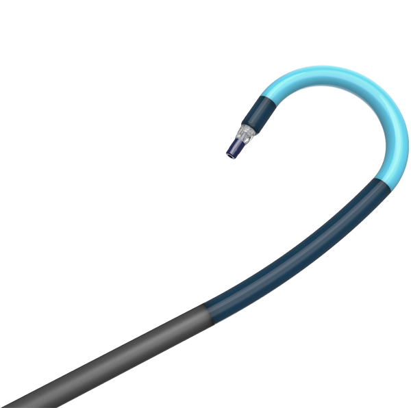 POLARSHEATH™ Steerable Sheath